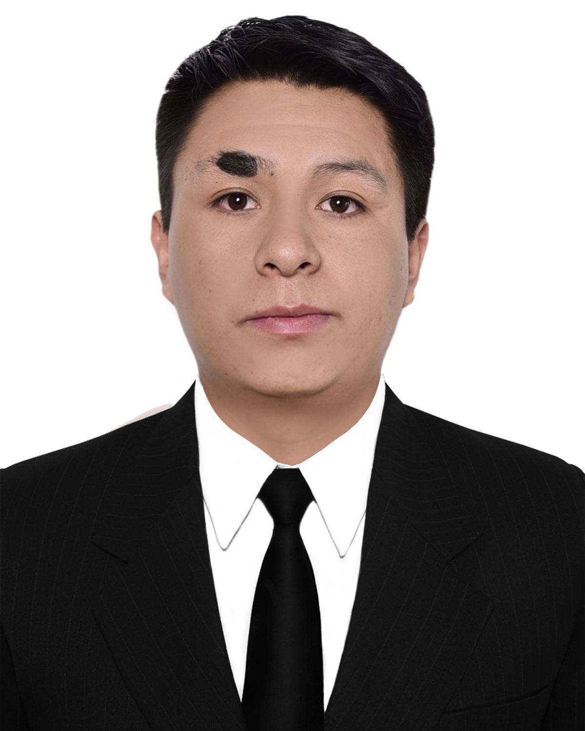 Ing. Bravo Moreno Wilder Rodrigo 